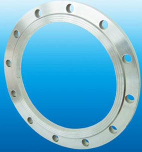 Stainless Steel Flanges