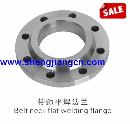 DIN flanges