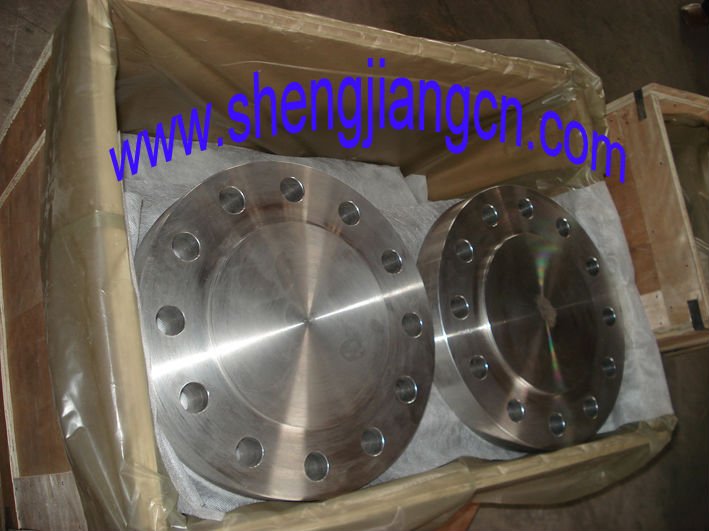 A105 Blind Flange