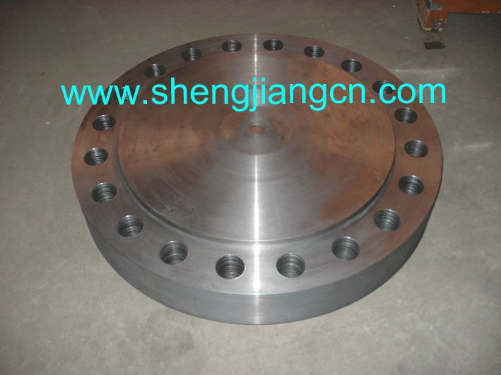 Carbon Steel/A105 Blind Flange