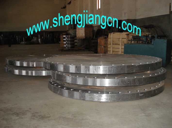 Carbon Steel/A105 Blind Flange