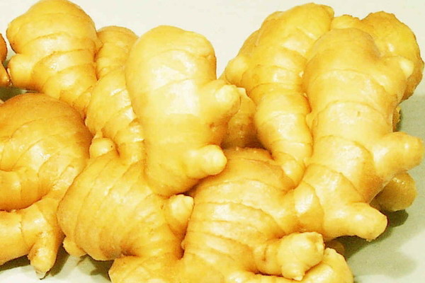 2010 Chinese fresh ginger