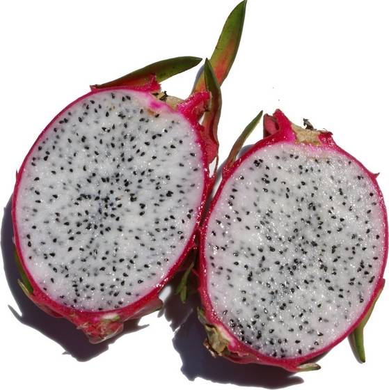 Dragon fruit with gold quality