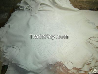 Genuine Ostrich Skin Leather - White Crust / Finished