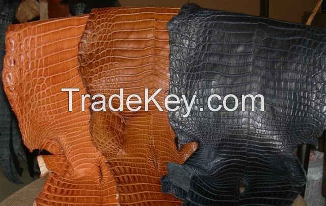 Genuine Nile Crocodile Skin Leather