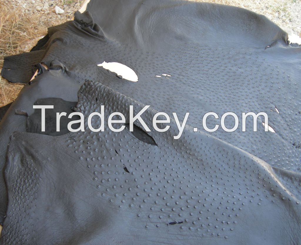 Genuine Ostrich skins & Leg Skins - low grades