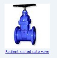 Resilient-seated gate valve