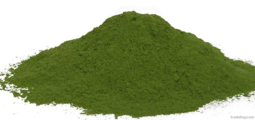 AD spinach powder