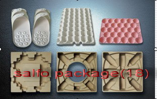 Pulp Molding Package