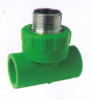 PPR pipe and fittings