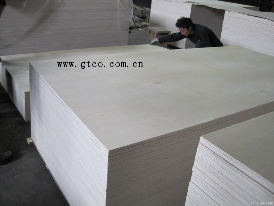 C2 White birch plywood/Russia birch plywood /Baltic birch Plywood