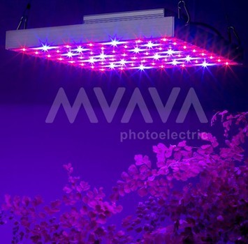 120W Aquarium with High Power LED