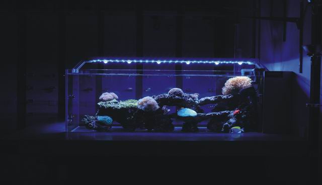 New design 2 Way Led aquarium light(Sun II series)