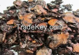 Cashew nut shell after extraction