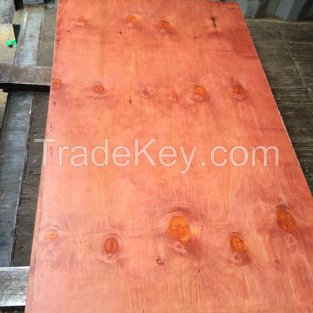 PLYWOOD FACED PHENOL GLUE