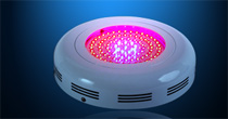 90W Red and Blue  LED grow light