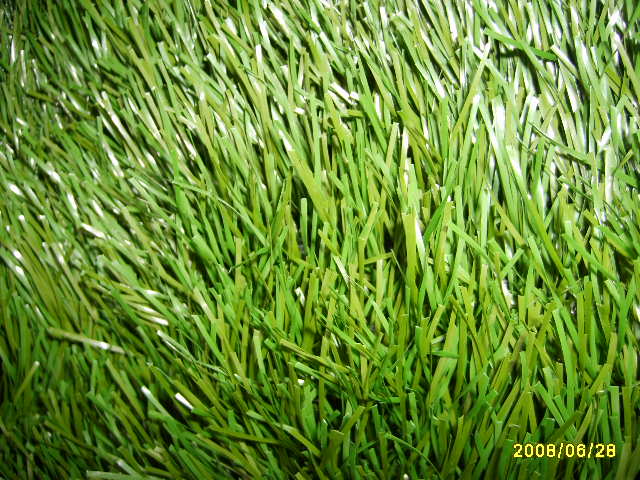 Sports Artificial Grass