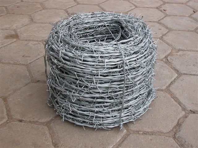 Barbed Iron Wire