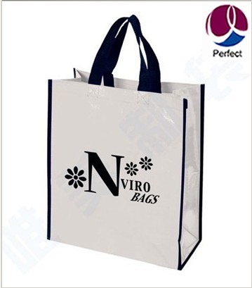 PP Woven Shopping Bag