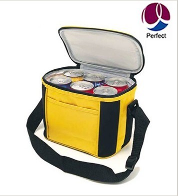 Cooler Bag