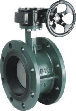 Double flanged midline butterfly valve