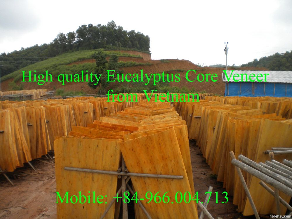 SUPPLY EUCALYTUS CORE VENEER FROM VIETNAM