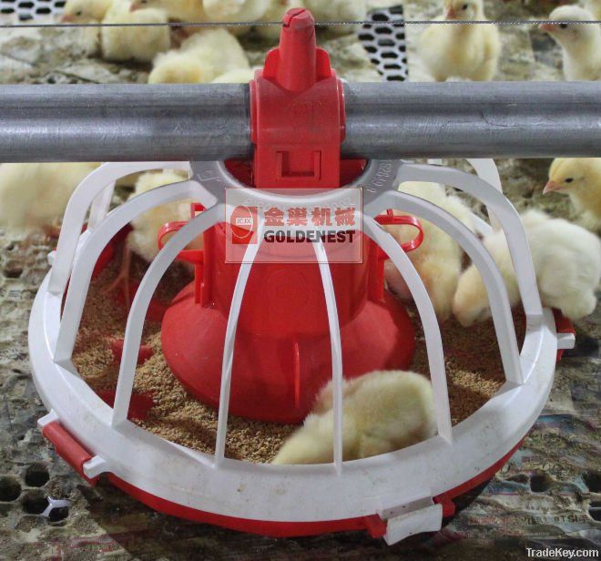 Poultry equipment for broiler and breeder