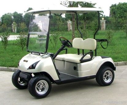 2 Seater Electric Golf Car with CE certificate DG-C2