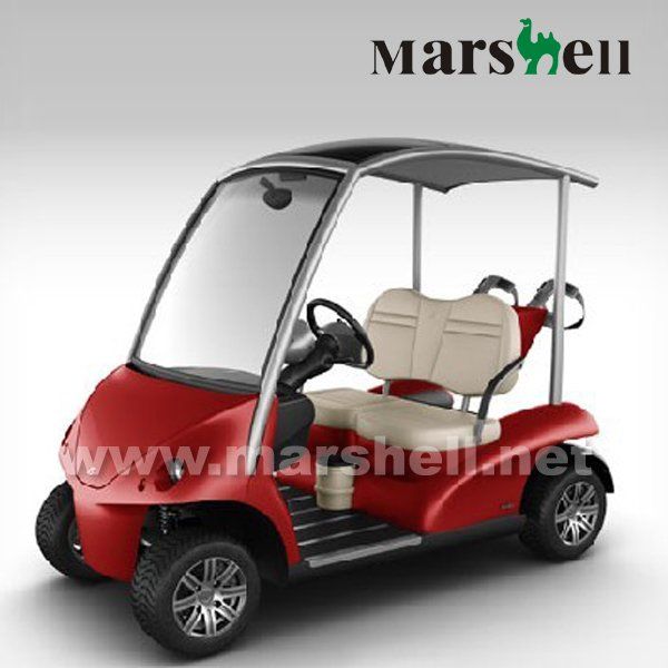 2 seats advanced electric golf cart with CE DG-CL2