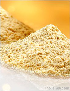 Soy Lecithin Deoiled Powder