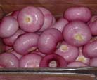 Chinese Red Onion