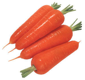 Carrot