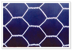 hexgonal wire mesh