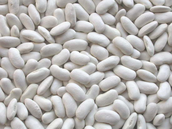 White Kidney  Beans