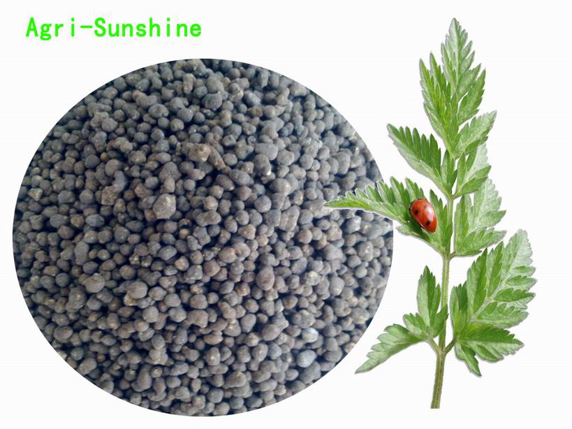 Golden Organic fertilizer granular