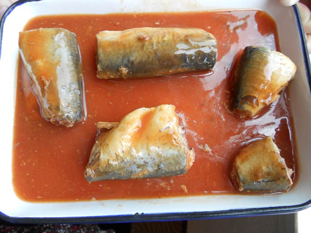 Canned Seafood/Fish-Sardine/Mackerel/Tuna in Tomato Sauce/Oil/Brine 425g/155g/125g 7113/588/Club 5A