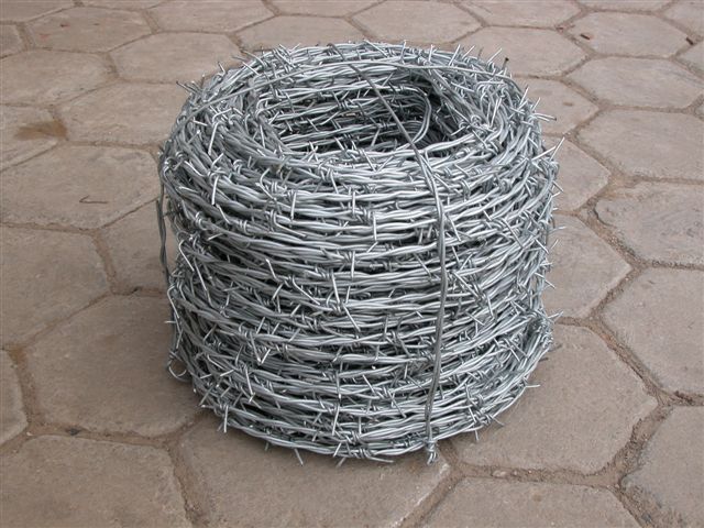 Barbed Wire(18 years' factory)