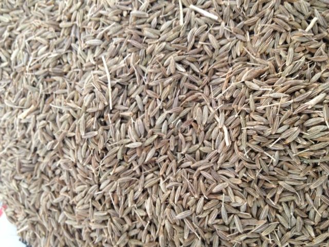 Organic Cumin seed