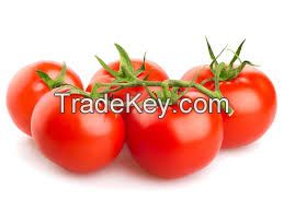 Tomatoes