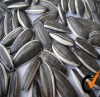 eatable long striped sunflower seeds 24/64