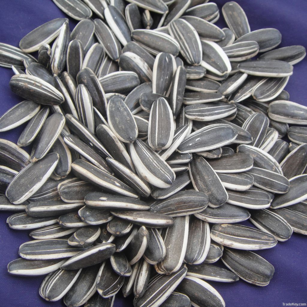 2012 sunflower seeds 5009 market price