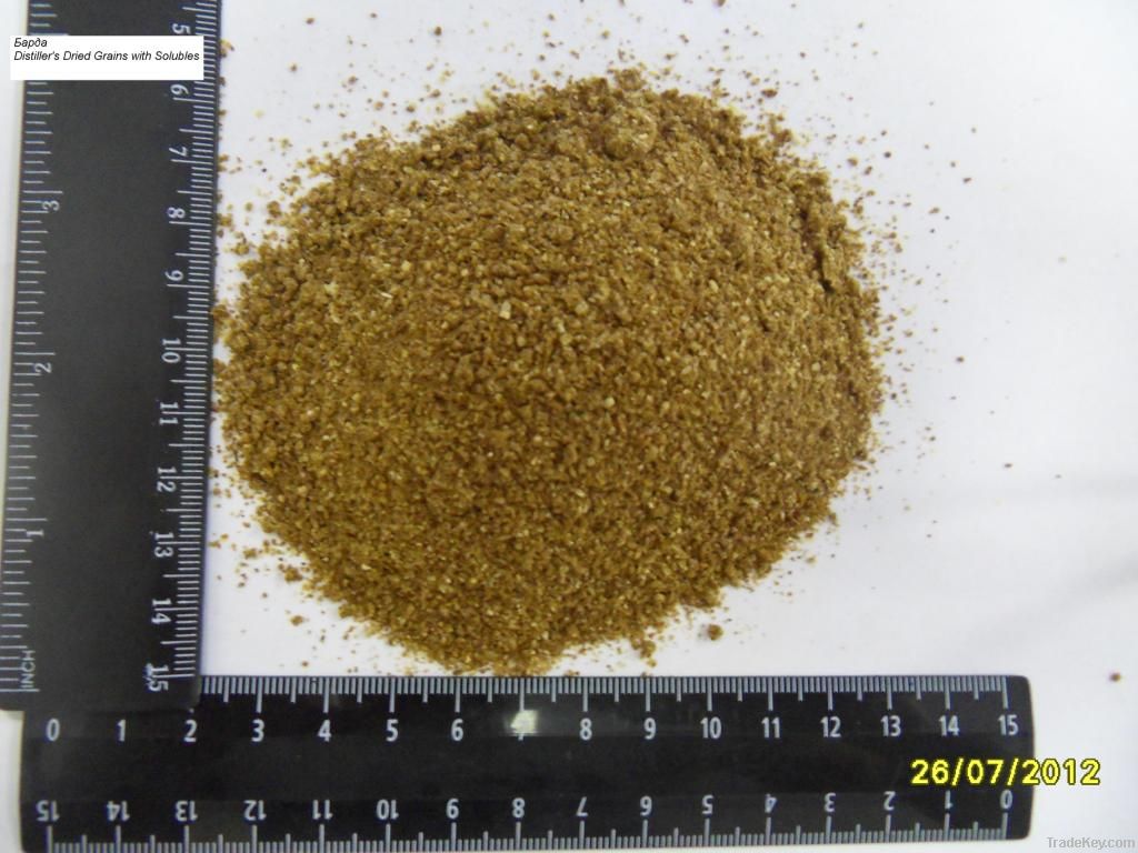 DDGS / Distiller's Dried Grains with Solubles