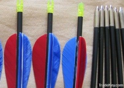 carbon fiber arrow