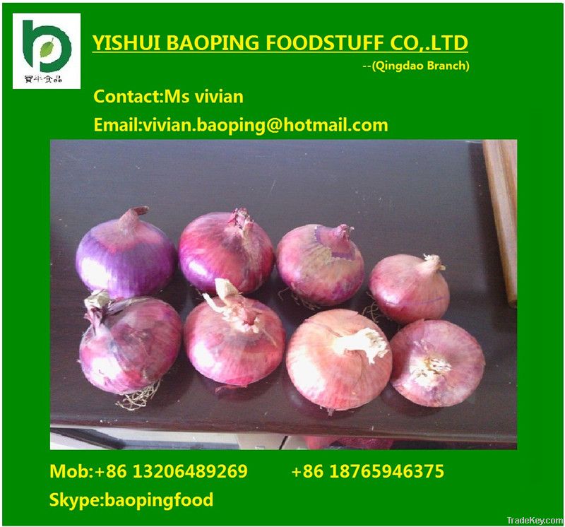 fresh red onion