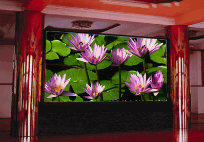 Indoor fullcolor LED display(p6)