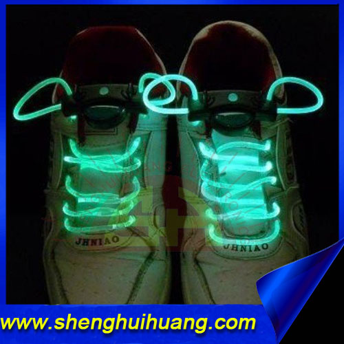 Hot led shoelace