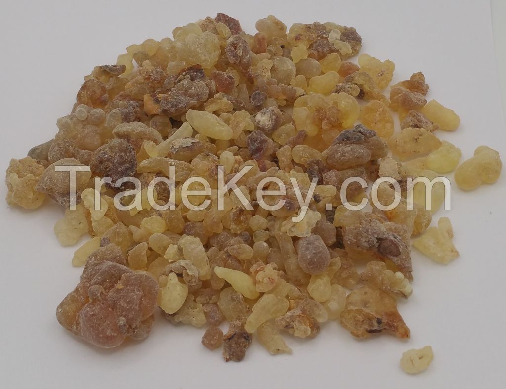 Frankincense and Myrrh Resins