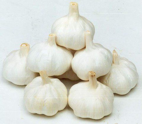 White Garlics