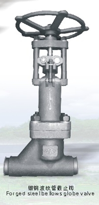 Bellows Valve