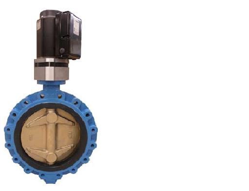 butterfly valve